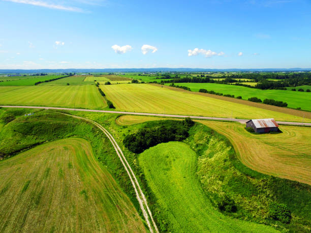istock Aerial view of rural area colorful fields 868707698