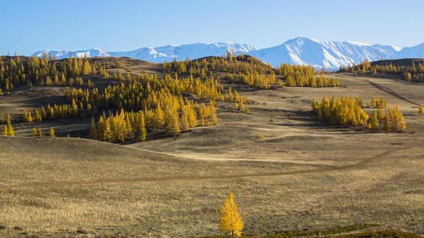 istock Snow Mountain, Altai mountains, Chuya ridge, Russia. 868707806