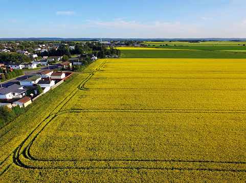 Aerial view of rural area and farmland with golden fields