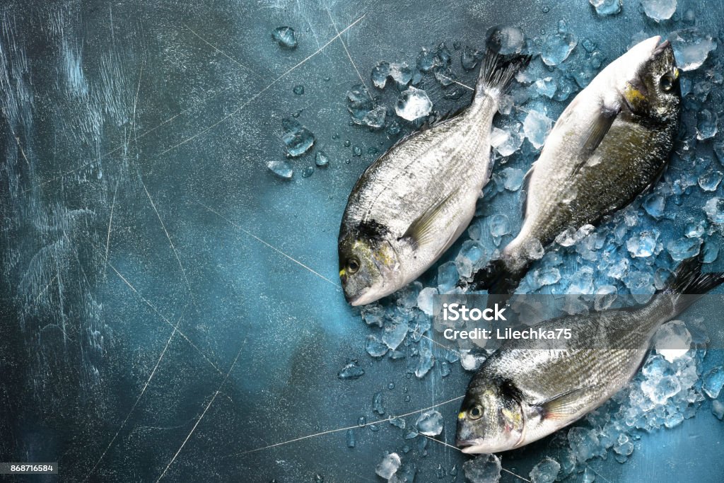 Raw fresh organic dorado or sea bream on ice cubes Raw fresh organic dorado or sea bream on ice cubes over blue slate,stone or concrete background.Top view with copy space. Fish Stock Photo