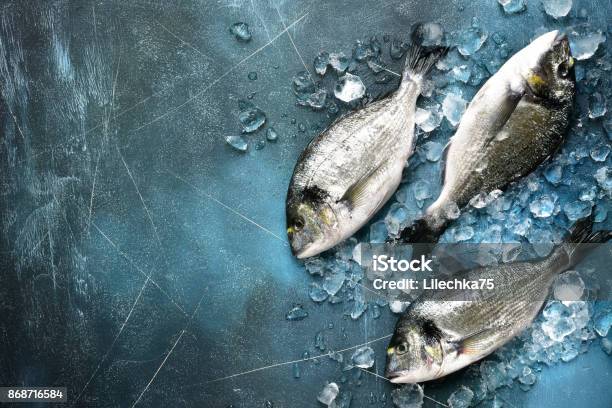 Raw Fresh Organic Dorado Or Sea Bream On Ice Cubes Stock Photo - Download Image Now - Fish, Frozen, Ice