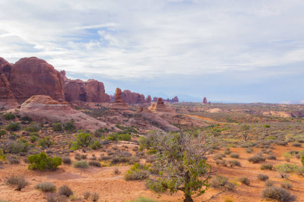 istock Panorama from Arches National Park, Utah. USA 868720522