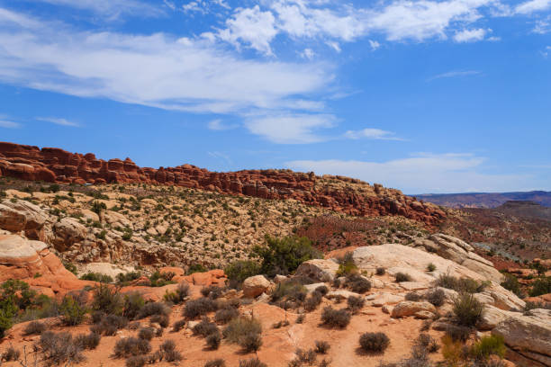 istock Panorama from Arches National Park, Utah. USA 868720872