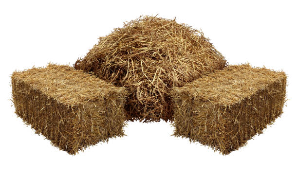 istock Piles Of Hay 868733958