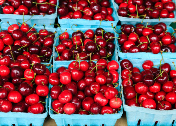 istock Blue Baskets of Red Cherries 868734248
