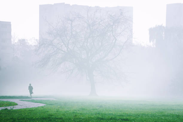 istock Silhouette of man running in the park 868737184