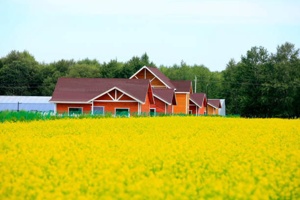 istock wooden houses 868740222