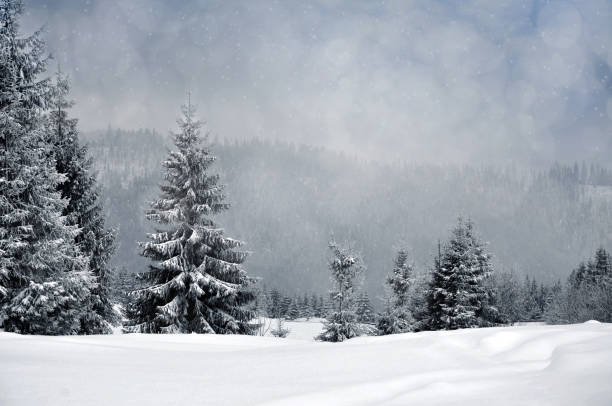 istock Winter landscape with snowy trees and snowflakes 868743584