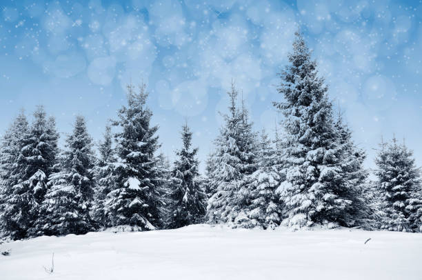 istock Winter landscape with snowy trees and snowflakes 868743596