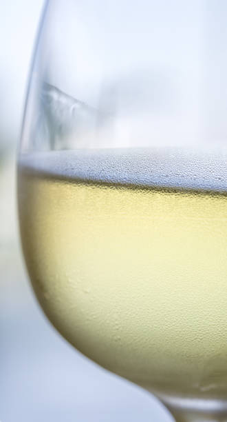 istock Glass of White Wine 868744712