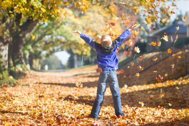 istock Child playing in beautiful fall leaves 868751174