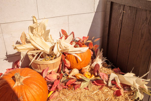 pantalla de halloween de hojas de otoño y calabaza - corn on the cob fotos fotografías e imágenes de stock