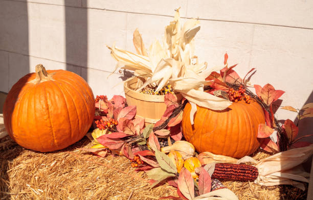 pantalla de halloween de hojas de otoño y calabaza - corn on the cob fotos fotografías e imágenes de stock