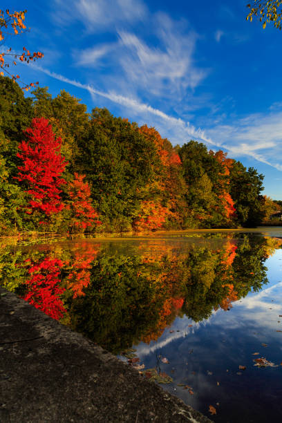 istock Fall leaf reflection in pond on a sunny day in autumn. 868758080