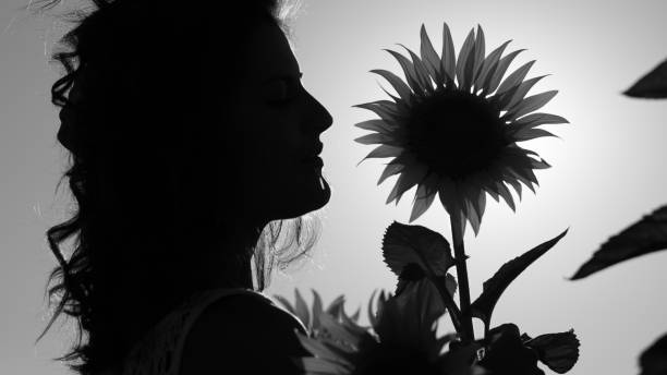 Beautiful young woman in sunflower field