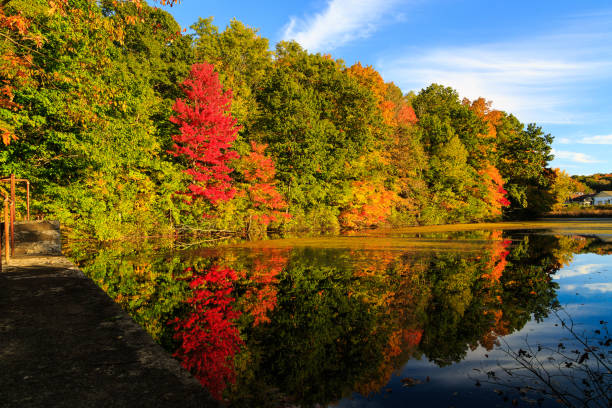 istock Fall leaf reflection in pond on a sunny day in autumn. 868763016