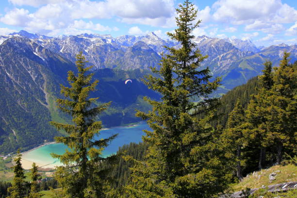 parapente entre pino árboles - sobre achensee idílico lago turquesa reflexión, paisaje alpino en tirol austríaco - karwendel cordillera fronteriza con alpes bávaros - majestuoso paisaje alpino, dramático panorama de montañas nevadas de tirol, austria - paragliding sport austria parachuting fotografías e imágenes de stock