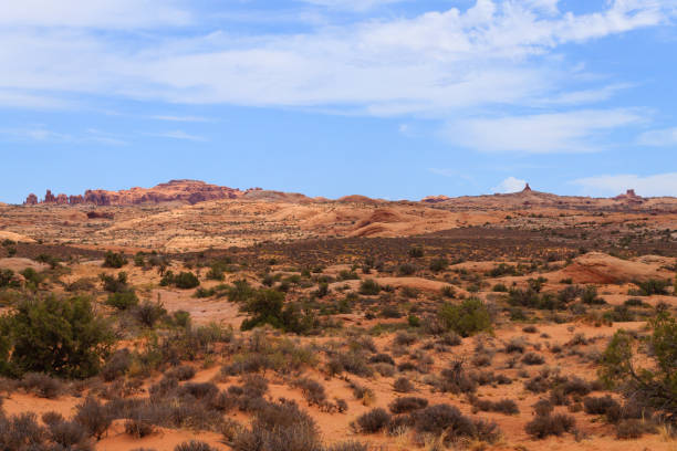 istock Panorama from Arches National Park, Utah. USA 868765294