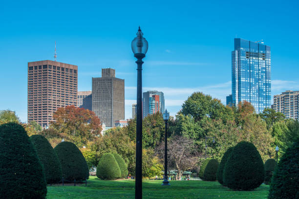 istock Boston's Skyline view from Public Gardens 868765778