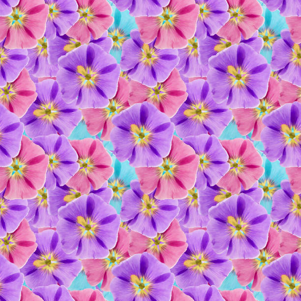 istock Mallow, malva. Seamless pattern texture of flowers. Floral background, photo collage 868766022