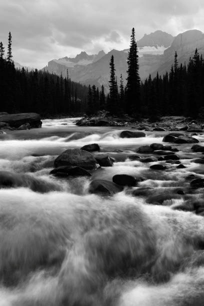 Mistaya River Banff National Park