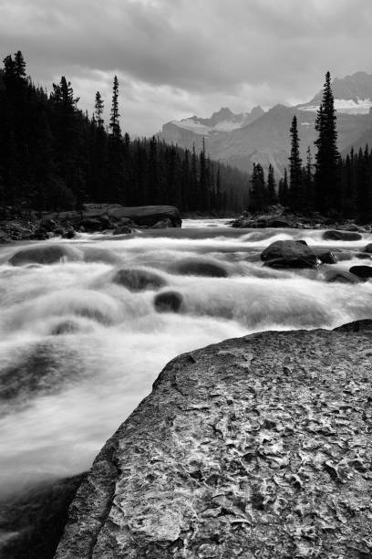 istock Mistaya River Banff National Park 868766306