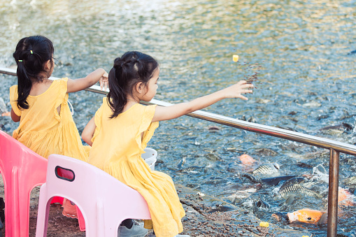 Two cute asian little child girls having fun to feed and give food to fish in the pond together