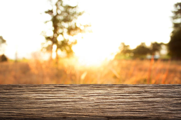 istock Empty wooden on blurred nature backdrop. Wood table top. can used for display or montage your products 868775374