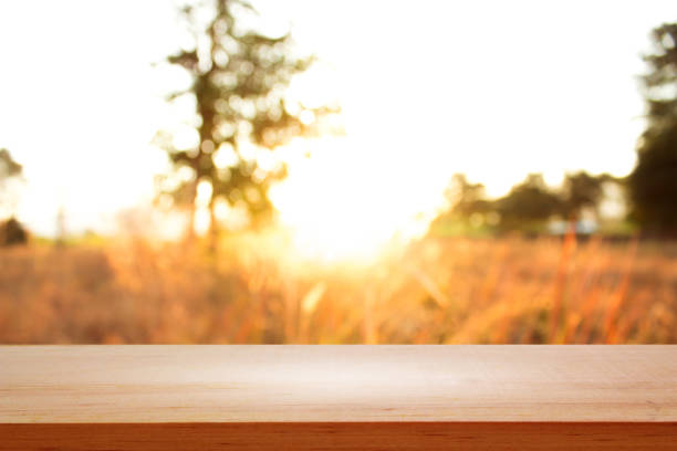 istock Empty wooden on blurred nature backdrop. Wood table top. can used for display or montage your products 868775642