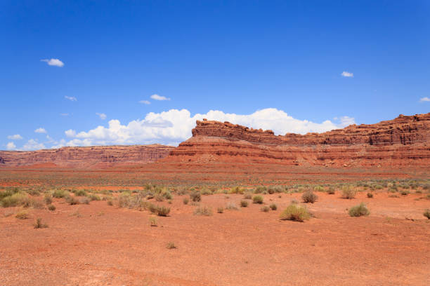 istock Valley of the Gods view 868775826