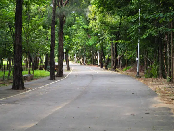 Nice long way with around green of the tree and make feeling fresh and peaceful.