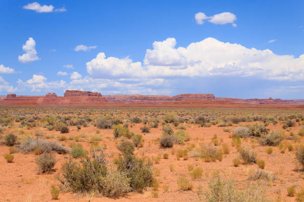 istock Valley of the Gods view 868777006