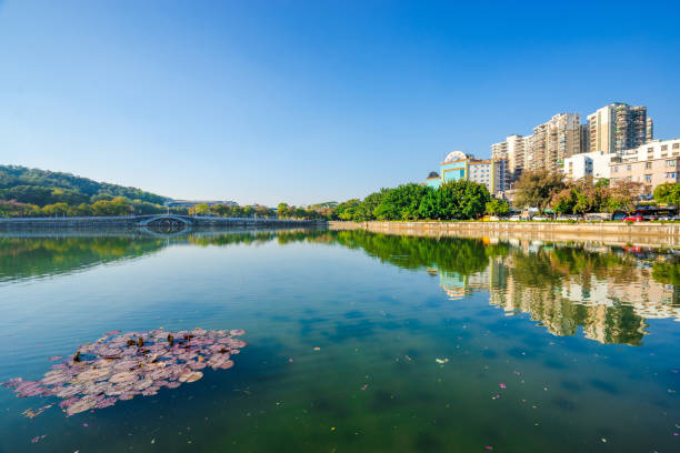 The landscape of South Lake in Huizhou West Lake Scenic Area The landscape in Huizhou West Lake Scenic Area, Huizhou City, Guangdong Province west lake stock pictures, royalty-free photos & images