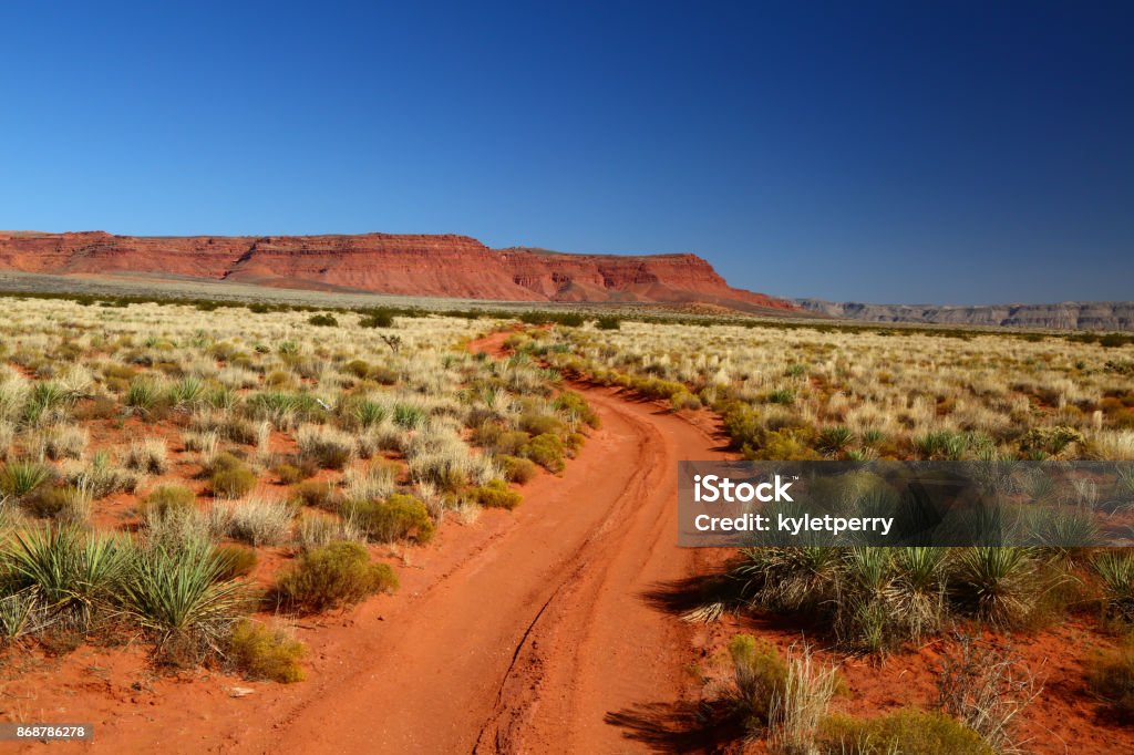 Camino a través de la tierra roja de outback - Foto de stock de Australia libre de derechos