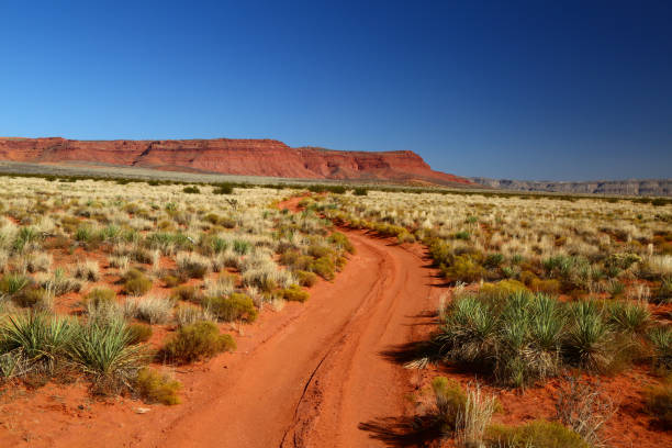 strada attraverso lo sporco rosso dell'outback - outback foto e immagini stock