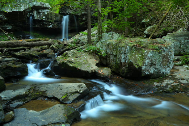 istock Waterfalls cascading in Cloudland Canyon 868788600