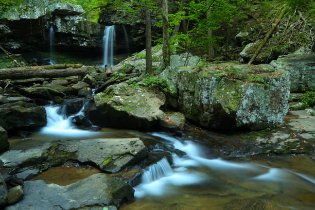 kaskadowe wodospady w cloudland canyon - tennessee waterfall stream forest zdjęcia i obrazy z banku zdjęć