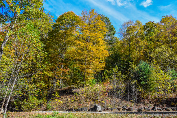 istock Fall Colors in North Carolina Mountains 868788838