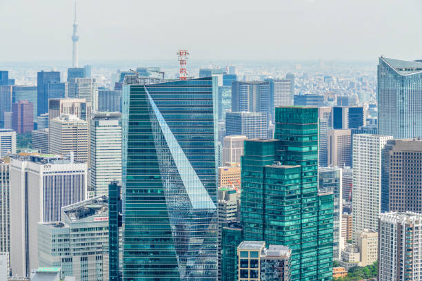 istock Tokyo urban cityscape 868789006