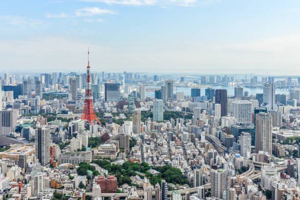 istock Tokyo urban skyline with Tokyo Tower 868789144