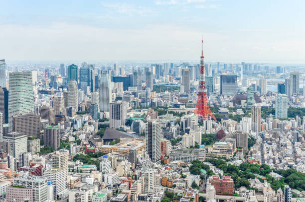 istock Tokyo urban skyline with Tokyo Tower 868789592