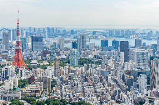 Tokyo urban skyline with Tokyo Tower