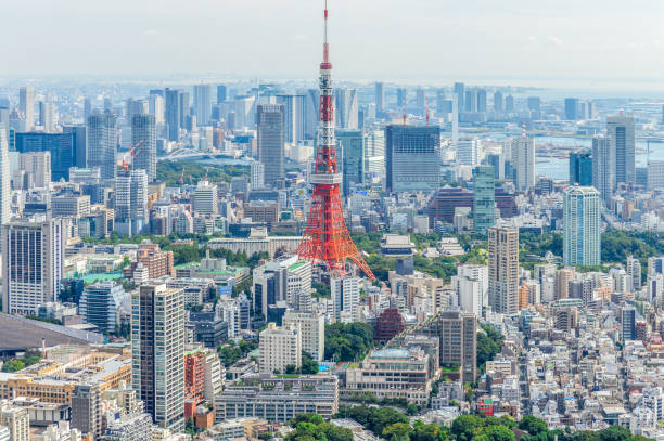 istock Tokyo urban skyline with Tokyo Tower 868791978