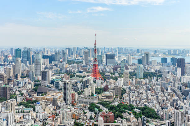 istock Tokyo urban skyline with Tokyo Tower 868792202