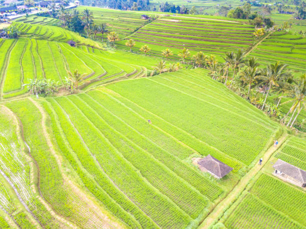 istock Aerial photography 868793264