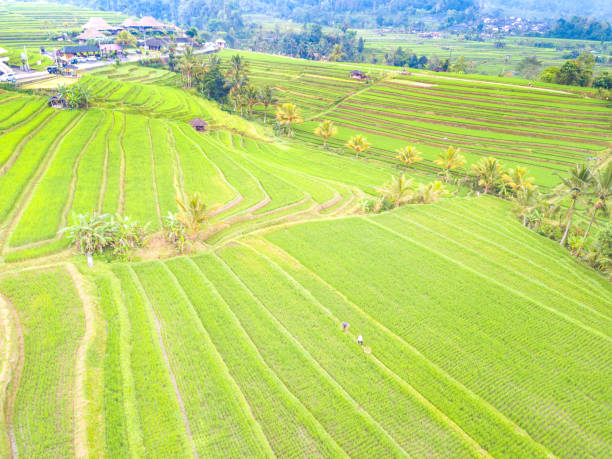 istock Aerial photography 868795392