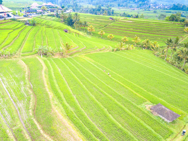 istock Aerial photography 868795394