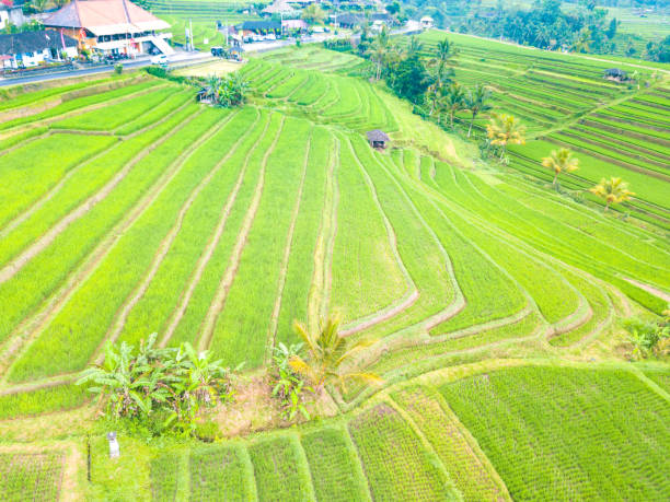 istock Aerial photography 868795828
