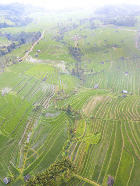 istock Aerial photography 868795980