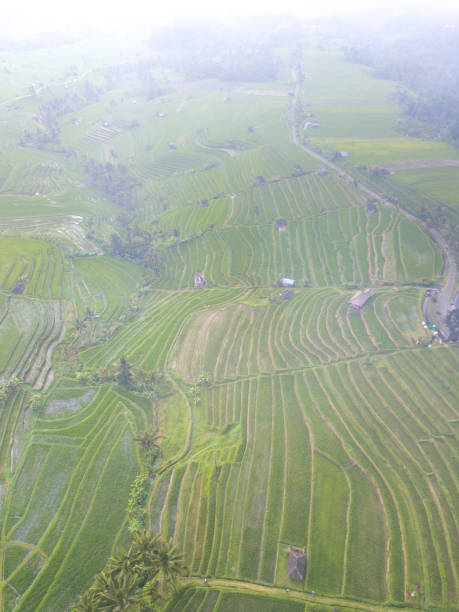 istock Aerial photography 868795984